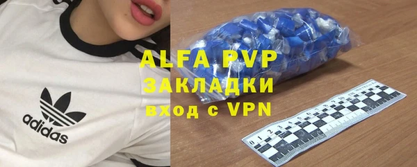 стафф Богданович