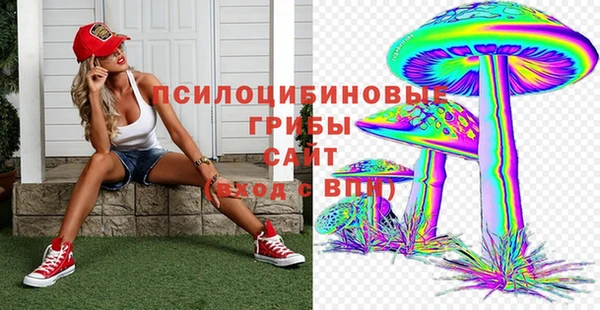 стафф Богданович