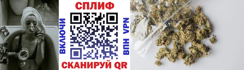 Шишки марихуана гибрид hydra Гудермес